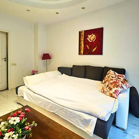 Rosuites *